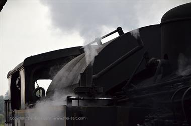 Nilgiri-Blue-Mountain-Train, Mettupalayam - Coonoor_DSC5336_H600